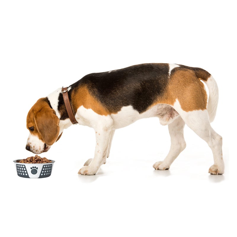 PetRageous 15001 Fiji Stainless Steel Non-Slip Dishwasher-Safe Dog Bowl 3.75-Cup Capacity 6.75-inch Diameter 2.5-inch Tall for Medium and Large Dogs, White and Slate Blue - Image 5